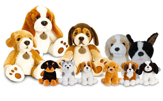 How To Run A Tombola Game